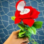 Love Rose Ring with Nose Pin Set