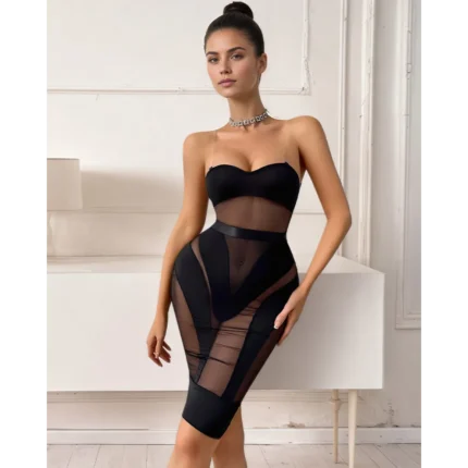Mesh Sheer Bodysuit Skirt