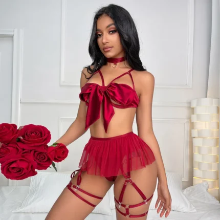 Sexy Lingerie Ensemble Net