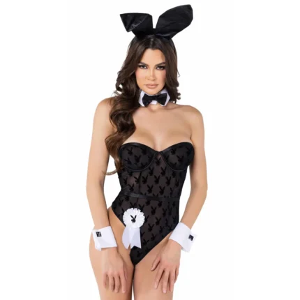 Sheer Playboy Bunny Costume
